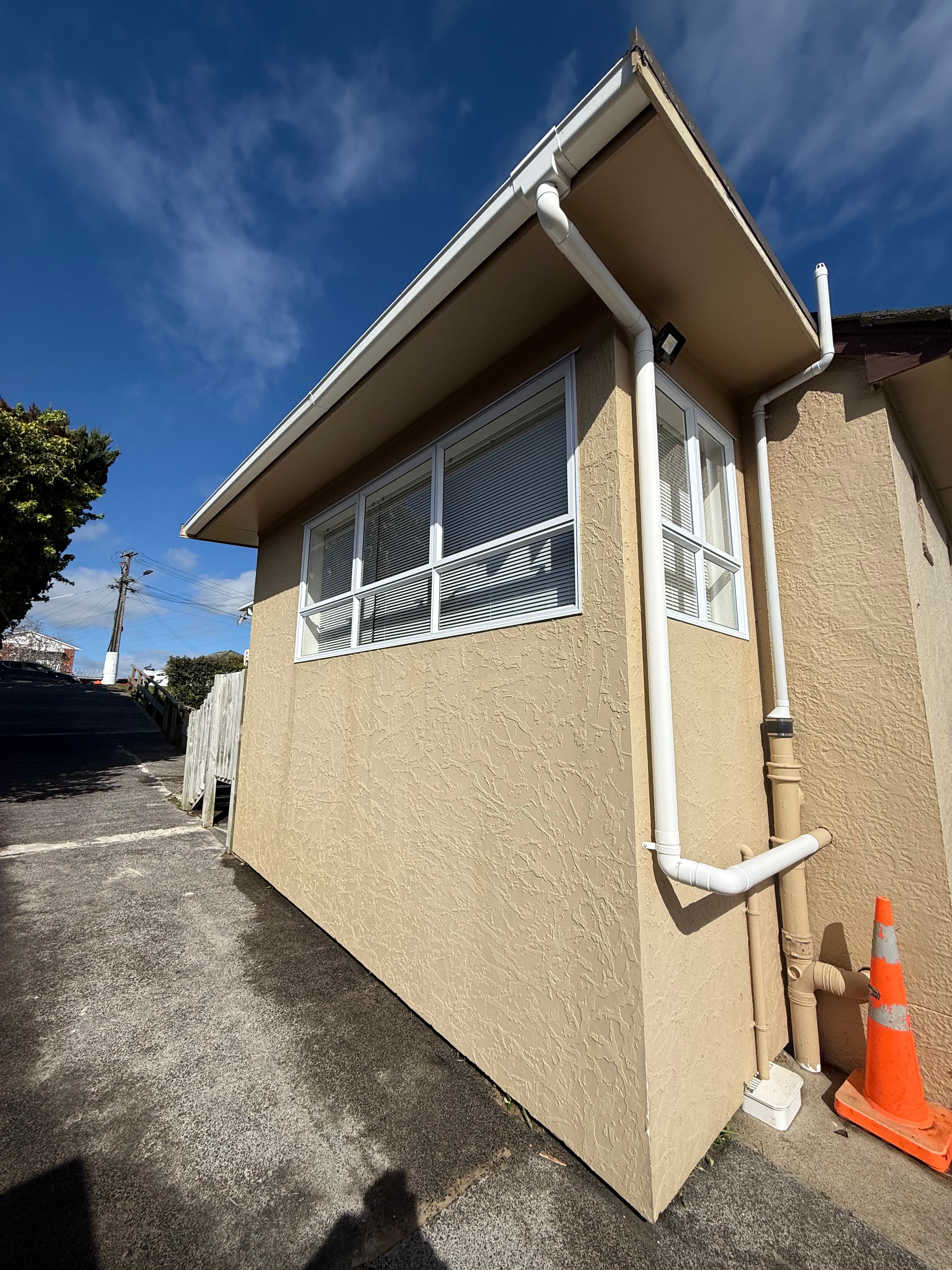 Professional spider and fly treatment service for Auckland properties