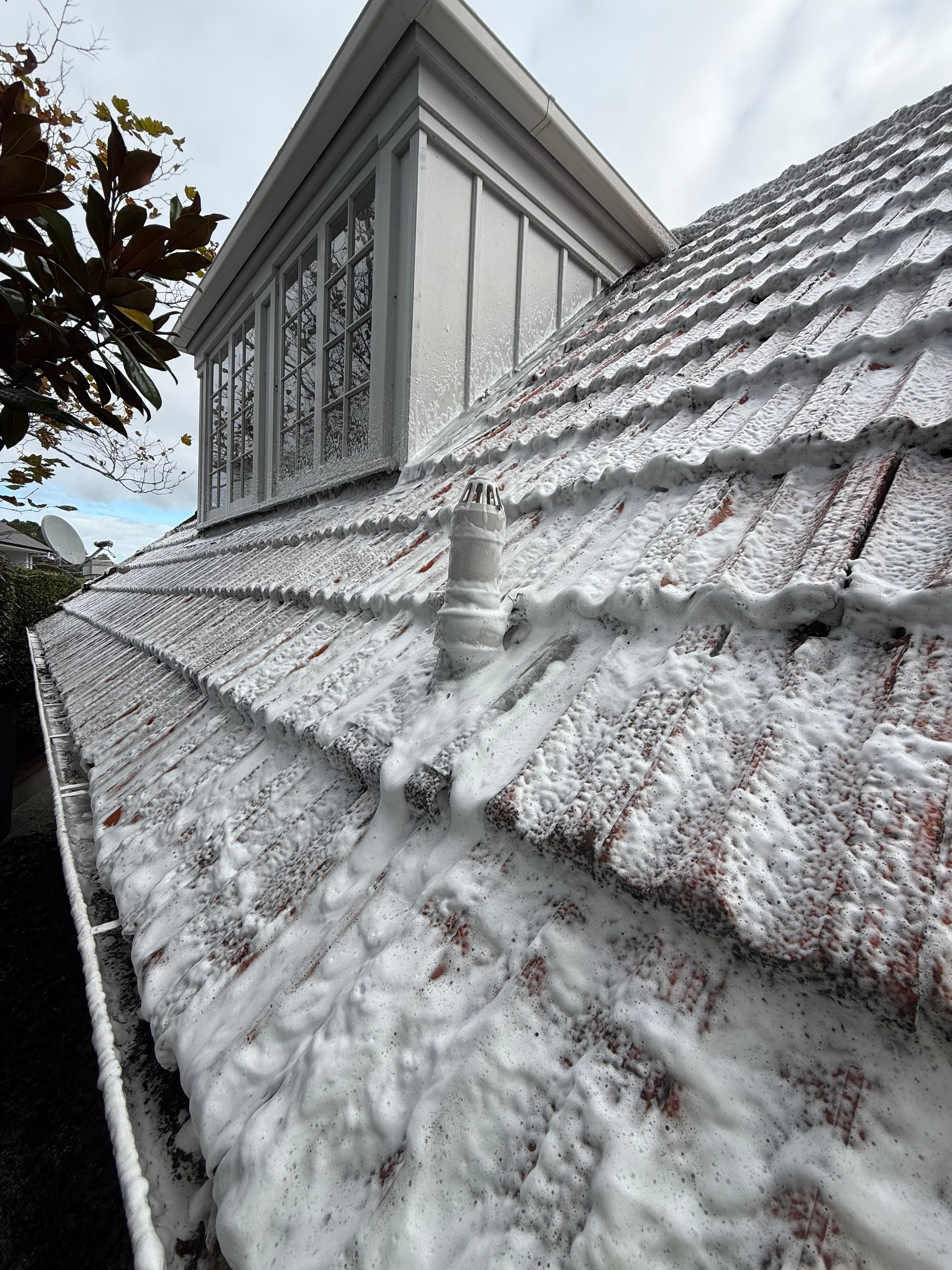 Roof Cleaning Process
