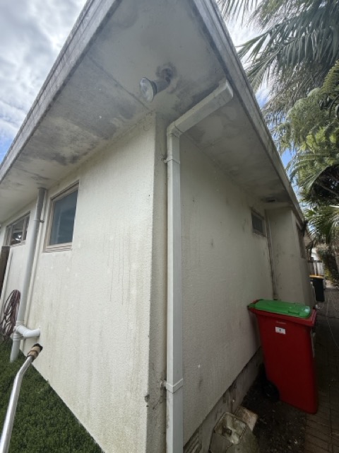 House Washing – Before