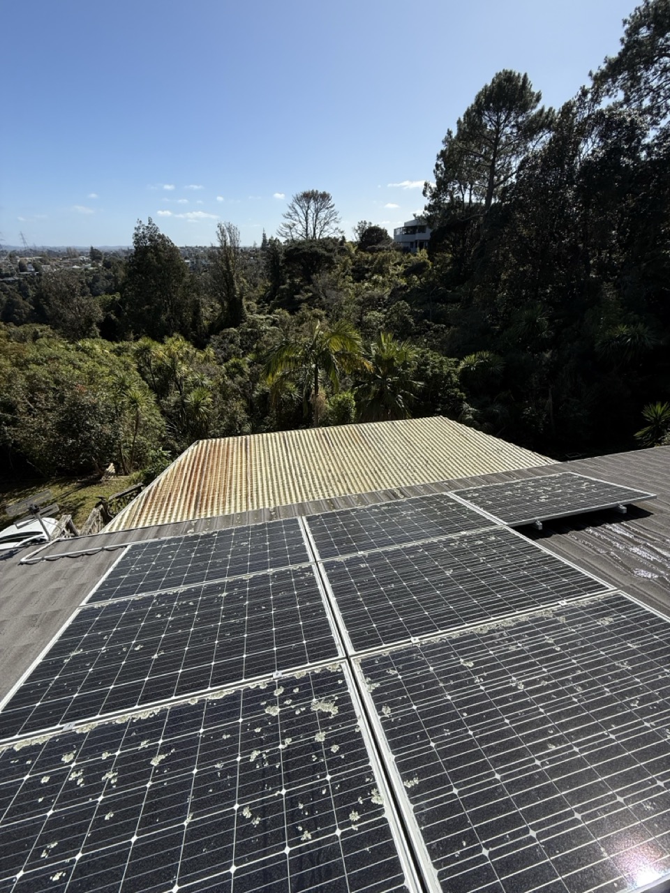 Solar Panel Clean – Before
