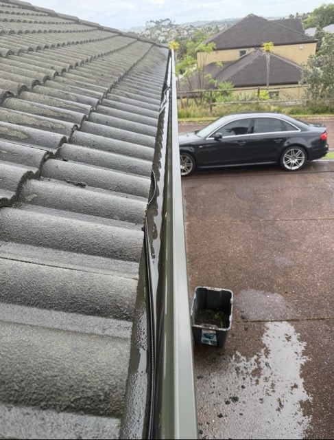 Gutter Cleaning – After