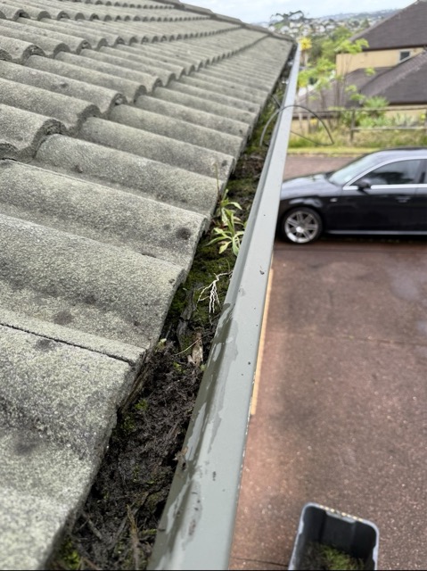 Gutter Cleaning – Before