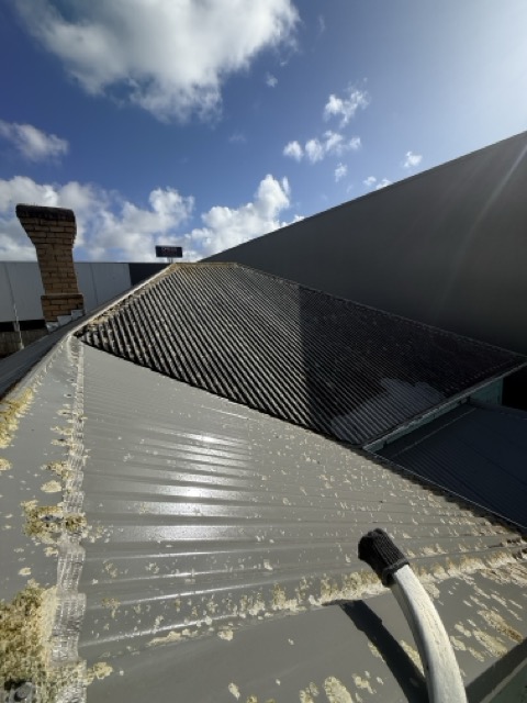 Roof Cleaning – Before